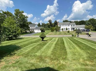 Janeen S.'s turf care service result