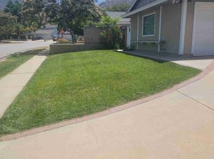 Eric C.'s yard service service result