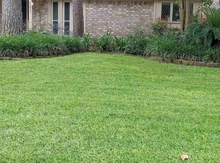 Cafilliar P.'s turf maintenance service result