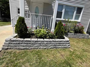 Tony T.'s Long Grass Cleanup service result