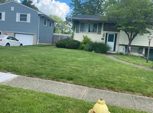 Todd W.'s grass maintenance service result