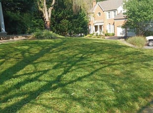 Jon M.'s grass maintenance service result