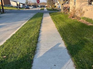 Jerry W.'s lawn care services service result