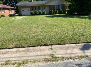 Tanahsa C.'s turf maintenance service result