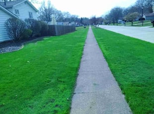 Victor L.'s lawn care service result
