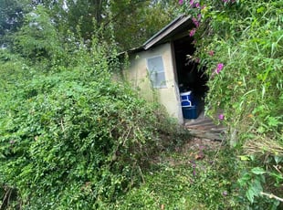 Cassandra B.'s Bush Trimming service result