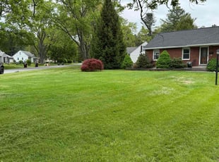 Claudia L.'s lawn service service result