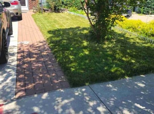 Thom R.'s Long Grass Cleanup service result