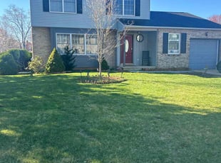 Chad M.'s grass maintenance service result