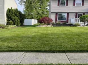 Oulimata K.'s lawn service service result