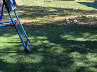 Mel B.'s grass maintenance service result