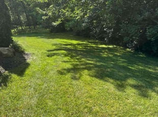 Tobin S.'s grass maintenance service result