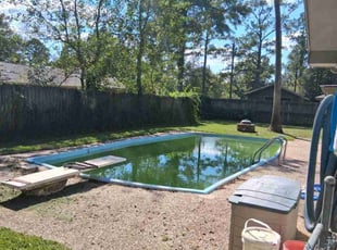 Luther M.'s turf care service result