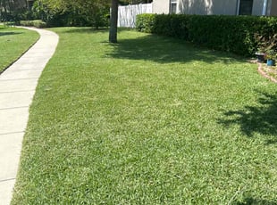 Barbara H.'s grass cutting service result