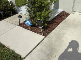 Nancee A.'s lawn service service result