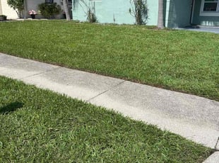 Joe S.'s lawn service service result