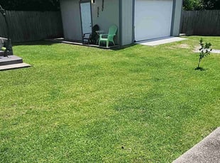 Tim S.'s turf maintenance service result