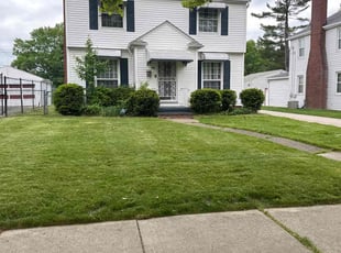 Alfredo S.'s turf care service result