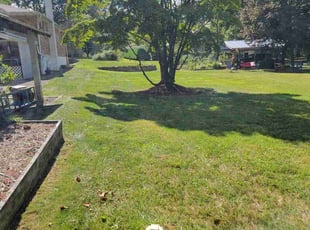 Anna S.'s yard care service result