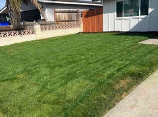 Peter S.'s turf maintenance service result