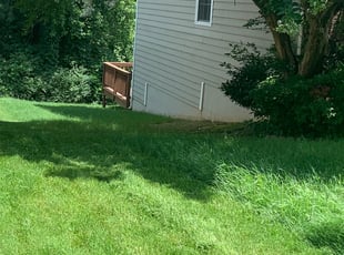Elsie M.'s Bush Trimming service result