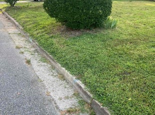 Lera J.'s Bush Trimming service result