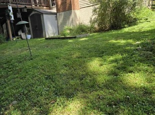 Sam R.'s grass cutting service result