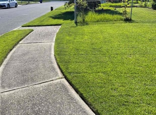 David R.'s lawn maintenance service result