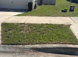 Quiashonda J.'s grass maintenance service result