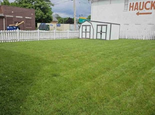 Minadora M.'s turf care service result
