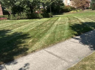 David S.'s lawn maintenance service result