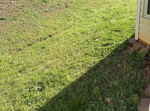 Glenda R.'s lawn maintenance service result