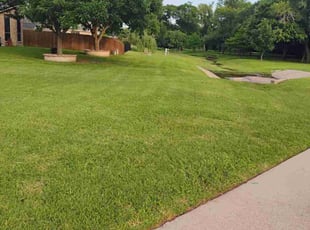 Nina S.'s grass maintenance service result