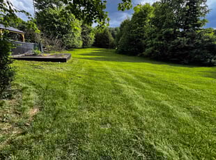 Todd B.'s turf maintenance service result