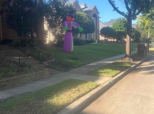 Pam H.'s turf maintenance service result