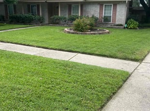 Shanique M.'s lawn service service result