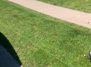 Lizette J.'s lawn care services service result