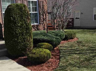 Nancy C.'s Mulching service result