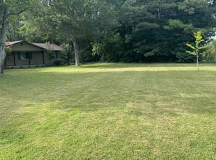 Michael R.'s lawn service service result