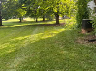 Laura A.'s lawn care services service result