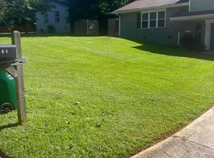 Matt V.'s lawn maintenance service result