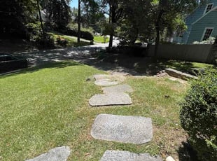 John D.'s grass cutting service result