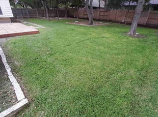 Manuel L.'s turf maintenance service result