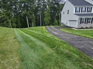 Elizabeth I.'s turf care service result