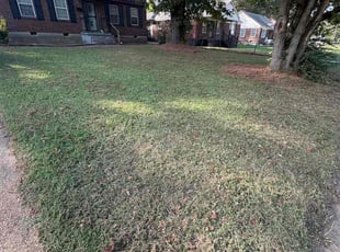 Ronda A.'s lawn service service result