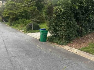 Angel K.'s Bush Trimming service result