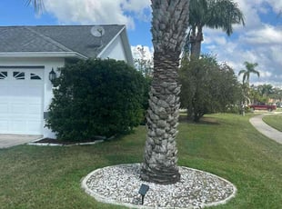 Sandra O.'s lawn maintenance service result