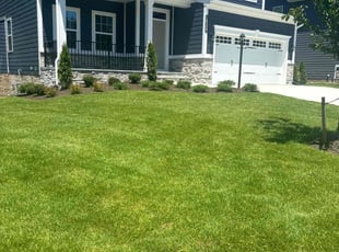 Samantha S.'s grass cutting service result