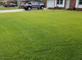 Juan M.'s yard maintenance service result