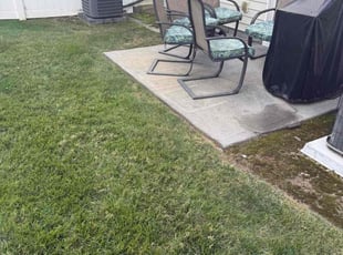 Gail G.'s turf care service result
